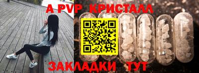 ПСИЛОЦИБИНОВЫЕ ГРИБЫ Кингисепп
