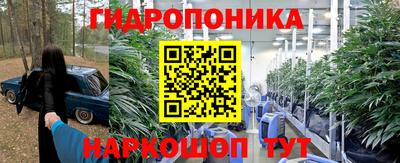 гашиш Кимры