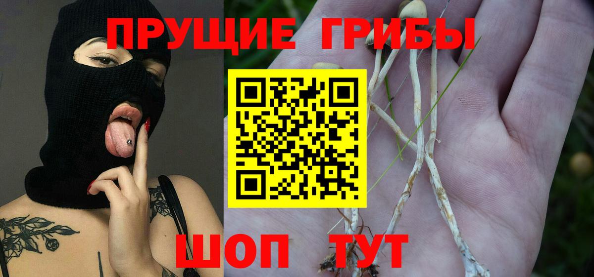 Котельники  Псилоцибиновые грибы мицелий  Вход с VPN 