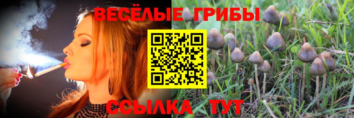 Галлюциногенные грибы ЛСД Котельники